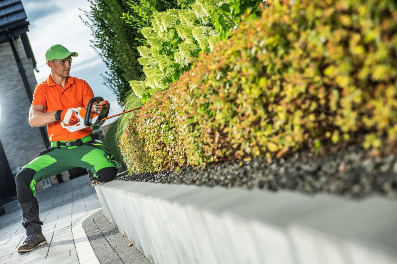 Hedge Shaping Service