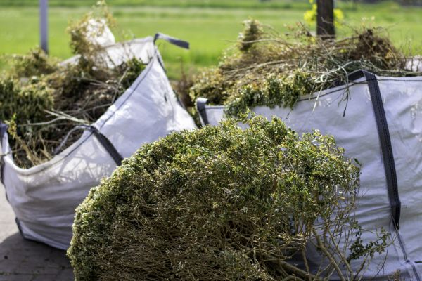 Cost of Shrubs Removal in Destin