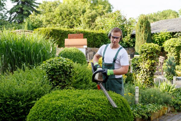 Cost of Shrubs Trimming in Destin